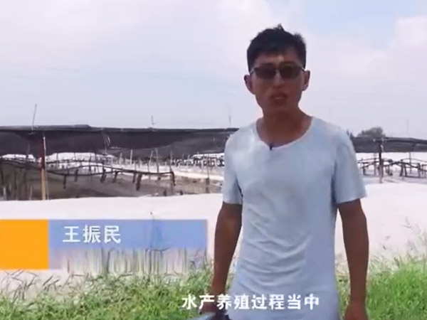 菌种先容-乳酸菌先容